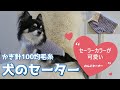 【かぎ針犬用セーター】きらきらラメが可愛いポップスターでセーラーカラーが可愛いわんこ服を編んでみました