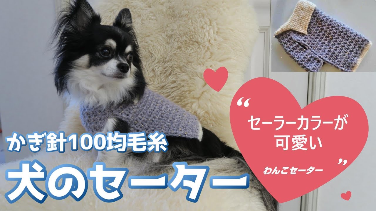 かぎ針犬用セーター】きらきらラメが可愛いポップスターでセーラー
