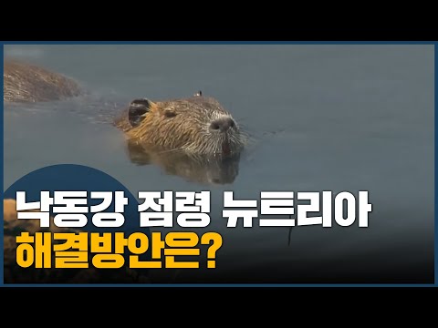 <strong>뉴트리아</strong>, 이제 패러다임 바뀌어야