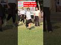 Modern dance siswi SMA #siswi #sekolah
