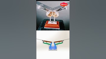 Bird flapping mechanism. #reel #reelkarofeelkaro#editng #editingvideo #lightroomedit