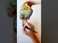 Watercolour painting of a beautiful bird drawing trending art watercolor