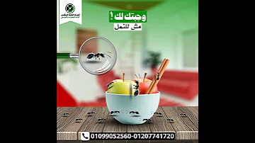 الشركة الالمانية لابادة الحشرات 01099052560 افضل شركة مكافحة حشرات بالضمان 5 سنوات 