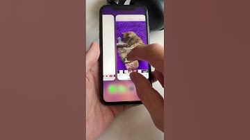 HOW TO CUT OUT IMAGES ON AN IPHONE / iOS 16 Photo
