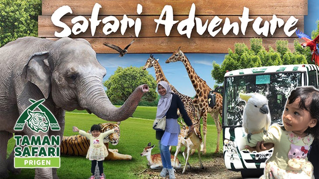 taman safari prigen youtube