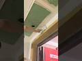 Painter Applying putty #painter #shorts #walldecor #construction #renovation 260108