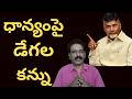 Paddy Market Analysis || Paddy Harvesting in Nalgonda MSP for Paddy Farmers
