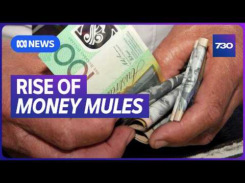 How a romance scam victim was unknowingly dragged into a money laundering scheme | 7.30