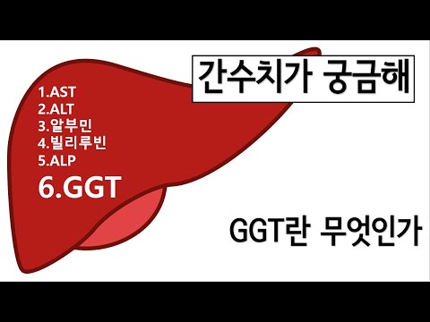 간수치 (간기능검사) - GGT(감마지티피)란 무엇인가?