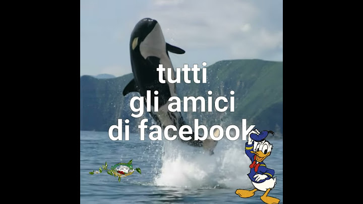 Buon ferragosto agli amici di Facebook