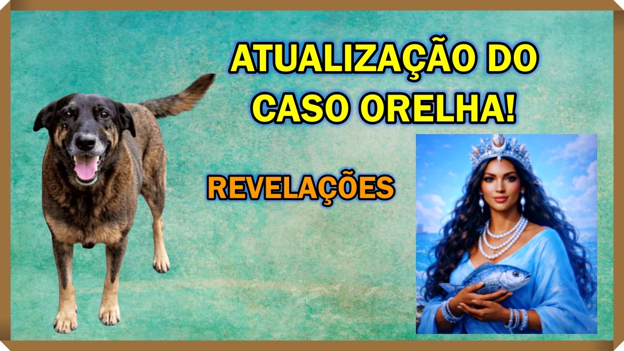 ATUALIZAÇÃO DO CASO ORELHA!