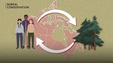 What are Nature-based Climate Solutions?