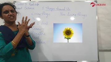 Real Life_Class 3_Science_Lesson 1_ Things around Us