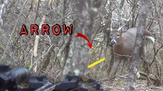 CALLING IN BUCKS ON THE GROUND! Shelby Gets Her Chance!