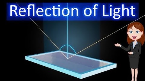 Reflection of light || Animated explanation in hindi || Ray Optics || Physics || 12th class ||