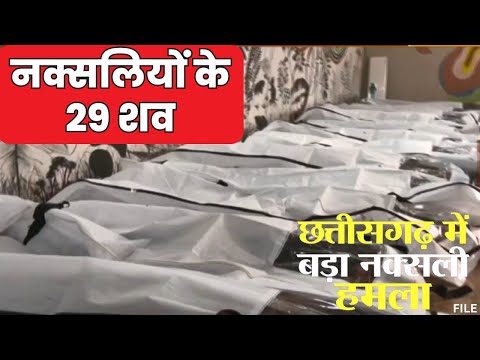 Chhattisgarh Naxal 29 Dead Body : मारे गये नक्सलियों की तस्वीरें | 15 पुरुष और 14 महिला नक्सली