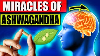 7 Amazing Benefits of Ashwagandha You NEED to Know!