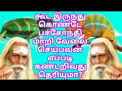 யார் பச்சோந்தி மாறி வேலை செய்பவன் எப்படி கண்டறிவது தெரியுமா? 