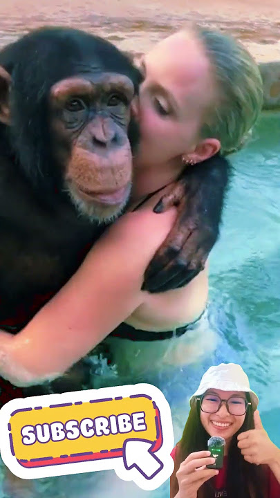 orang utan genit ke bule cantik #bule #bulecantik #orangutan