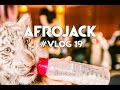 FROM EDC JAPAN TO BABY TIGERS IN DUBAI | AFROVLOG #19