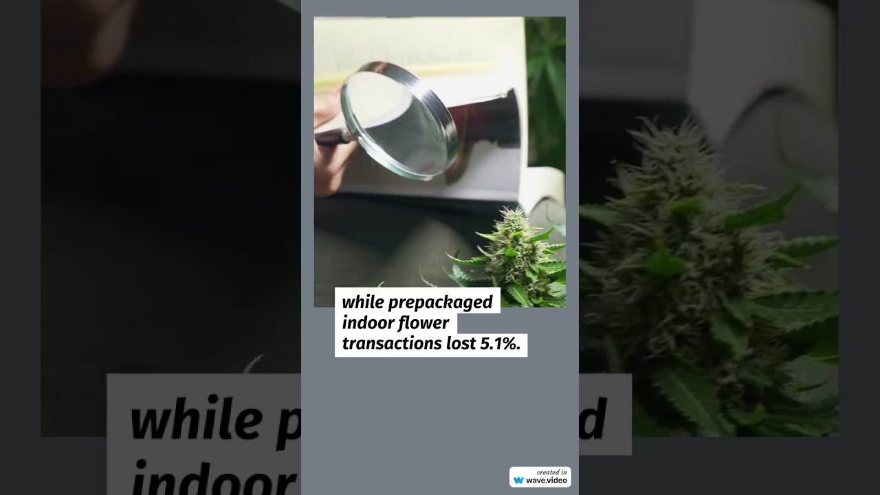 Cannabis Benchmarks US Spot Index Report - October 4, 2024 