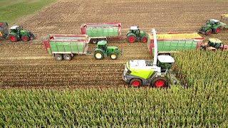 : Mais ballern 2025 mit CLAAS Jaguar 970, Fendt 728, Fendt 724, und weitere tolle Schlepper