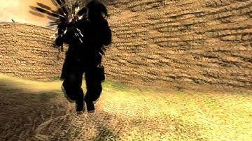 CSS Reflex 1deag   By Bergman