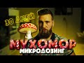 Микродозинг МУХОМОР - ЯД или ЛЕКАРСТВО?