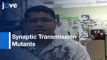 Pharmacological Characterization Of C. elegans Synaptic Transmission Mutants l Protocol Preview