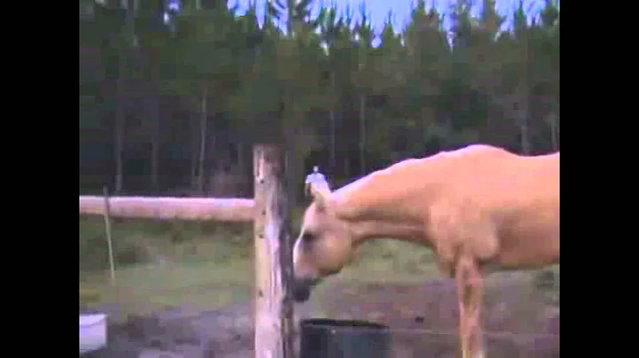 making my way downtown vine