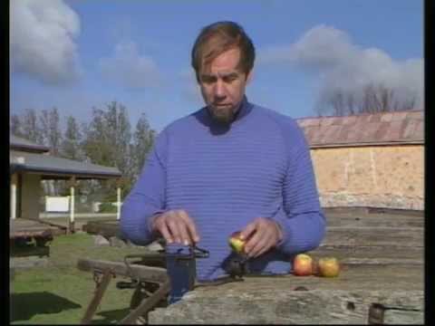 Peel, Slice and Core! - Peel, Slice and Core!
