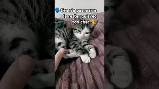 ka piraterie n'est jamais fini