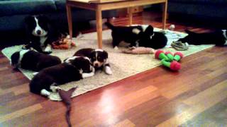 WP 20131109 142807Z