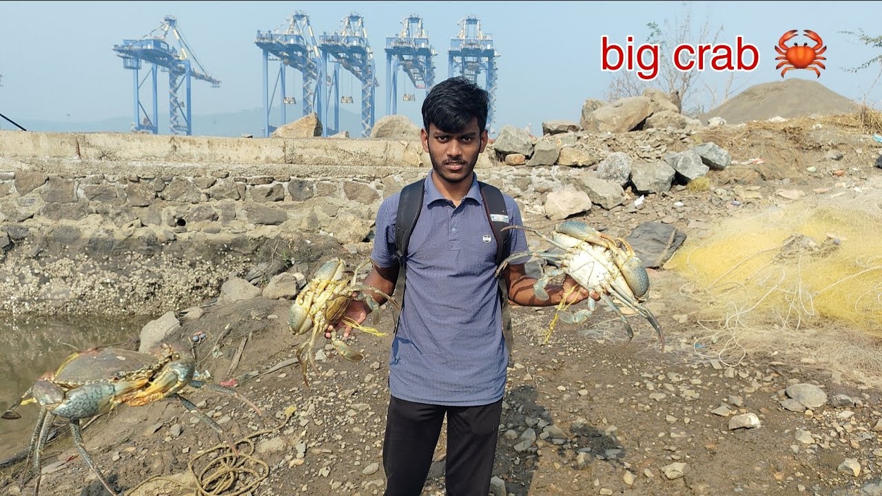 खाडीत फिशिंग ला गेलो पण बघायला भेटला मोठा चिंबोरा. Big crab 🦀@Sujyagurav 