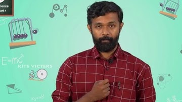 KITE VICTERS STD 6 BASIC SCIENCE FOR SHAPE AND STRENGTH CLASS 34 WORKSHEET