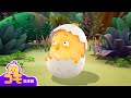 パパ鶏のタリ。 + 追加エピソード | とんとん、みんなをいやす可愛いコモ エピソード | 幼児向けアニメ