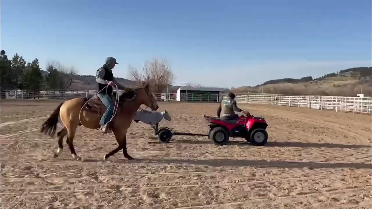 Buenos Peppy San Legend Buttes Horse Sale YouTube