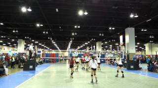 Celebrity Volleyball Recruiting Clips Net Worth