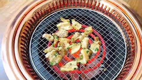 BẾP NƯỚNG ĐIỆN DÙNG BỘ TỰ TIÊU