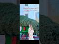 Árbol de Navidad  llega a la Casa Blanca recibido por la Primera Dama Melania Trump 🎄
