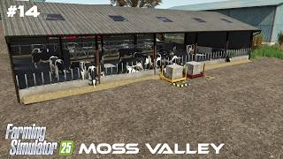 Half a Million Pounds… On COWS! | FS25 | Ep 14 screenshot 3