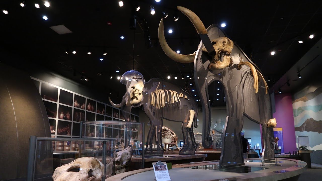 The Western Science Center in Hemet, CA YouTube