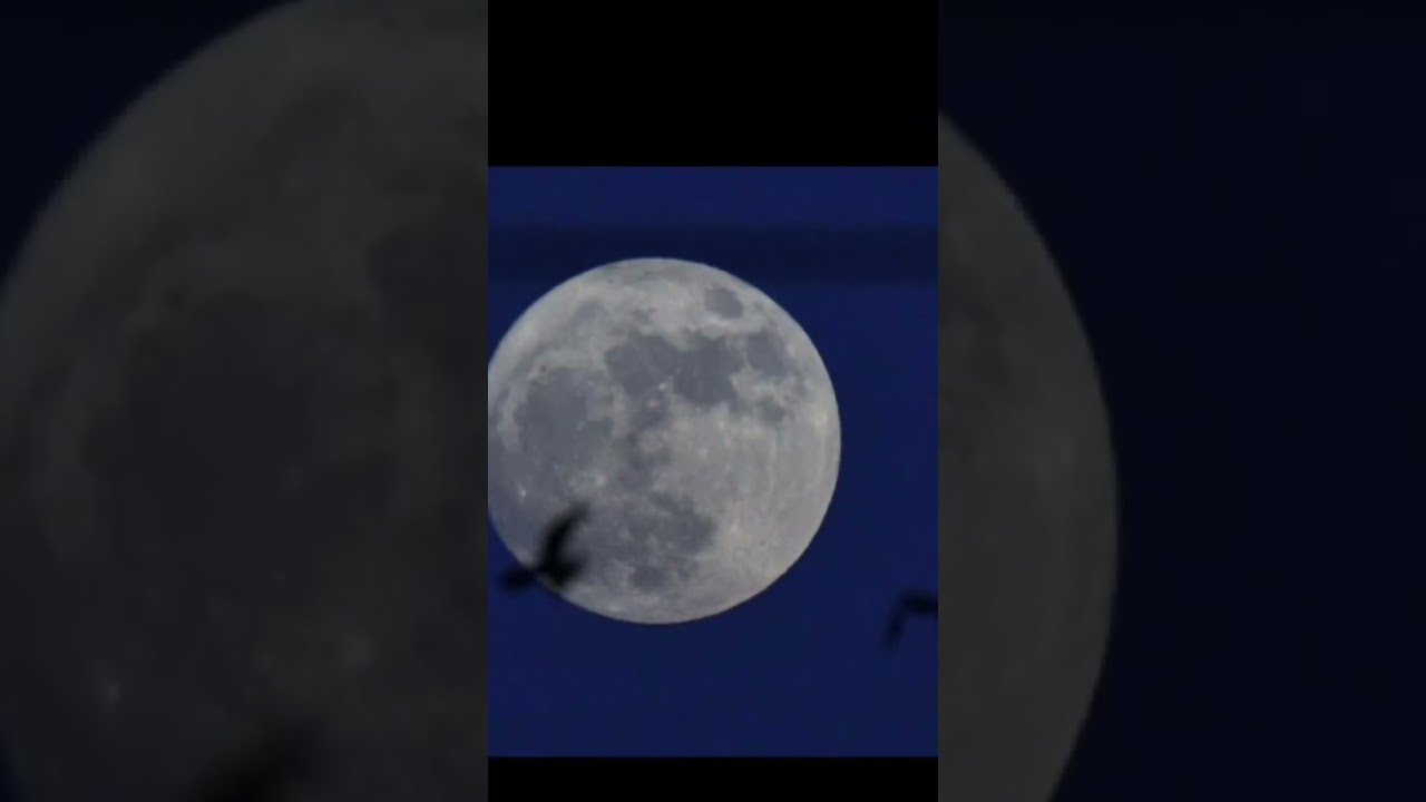 blue moon 2023 on tamilnadu (India) 