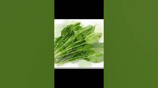 Bayam popeye ternyata berbeda dengan yang kita konsumsi