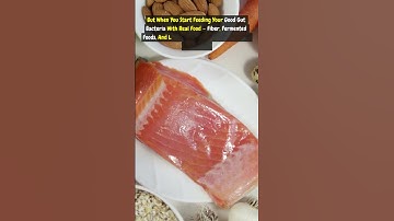 Fix Your Gut, Fix Your Metabolism Here’s How