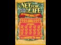 $10 SET FOR LIFE -  Lottery Bengal cat Scratch Off NYS instant win tickets - Did we get a Big Win??