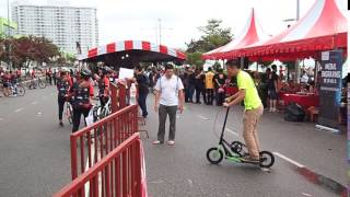 Stepwing In Action!