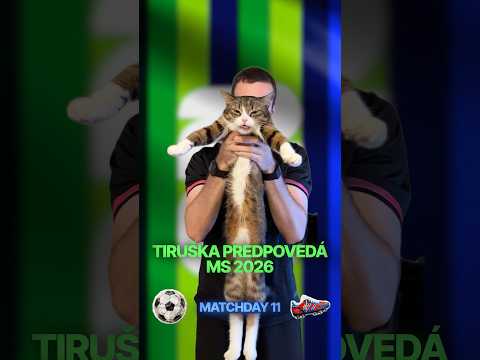 Mačka predpovedá zápasy MS 2026 | Matchday 11 #football #soccer #worldcup