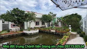 T.3084 nhà vườn ao cá miền Tây đẹp như bức tranh tặng nội thất thổ cư 339 m2 đường xe ô tô tới nhà 