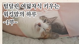 털달린 자식 여덟 키우는 워킹맘의 하루 1부 [블루마이크X챌린저스]